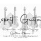 Esprit Guitare - Réparation, entretien, réglage, customisation de guitares et basses